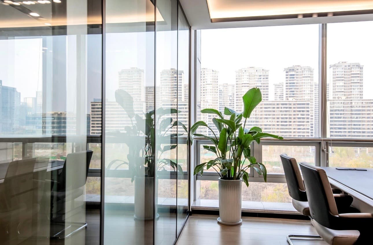 Modern office interior with a large potted plant and a view of city high-rises.
